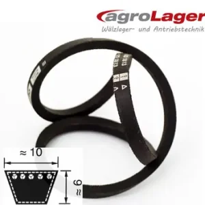 10x1850 Li Saisonangebot